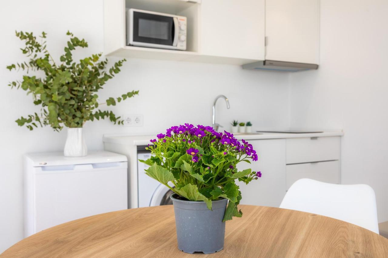 White 3 Apartament